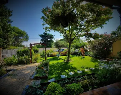 a garden with a tree in the middle of it at La Maison du Chemin des Prairies in Morières-lès-Avignon