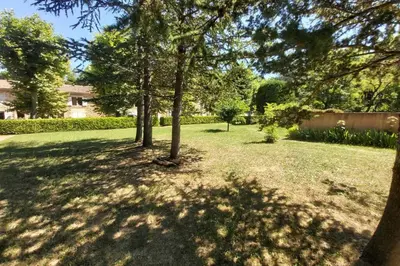 a group of trees in a yard with grass at Appartement de charme au calme avec piscine, au pied du Colorado provençal, cœur du Luberon in Rustrel