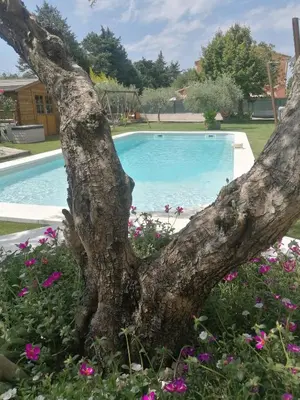 a tree in front of a swimming pool with flowers at L'atelier de Guytou et Spa in Cheval-Blanc