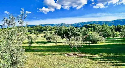 a field with trees and mountains in the background at Les Cerisiers maison bertuli climatisé, Piscine chauffée, lit King size, classé 5 étoiles in Oppède