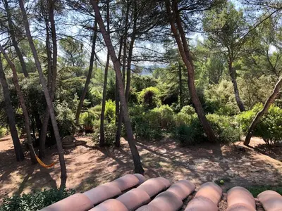 a view of a garden with trees and bushes at Chambres dans le Luberon - Bois Romay in La Bastide-des-Jourdans