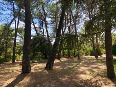 a group of trees with a hammock in the shade at Chambres dans le Luberon - Bois Romay in La Bastide-des-Jourdans