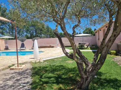 a tree in a yard next to a swimming pool at Tylyan in Le Thor