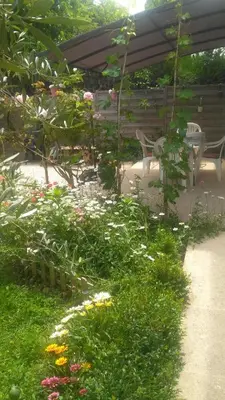 a garden with a table and chairs and flowers at Au Coeur du Luberon in Cavaillon