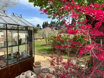 a garden with pink flowers in a greenhouse at Au petit bonheur in LʼIsle-sur-la-Sorgue