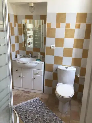 a bathroom with a toilet and a sink at Chambre d'hôte Mas de Silvacane in La Roque-dʼAnthéron