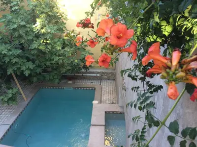 a swimming pool with red flowers in a garden at Chambre d'hôte Mas de Silvacane in La Roque-dʼAnthéron