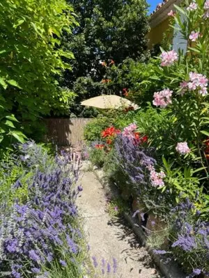 a garden with purple flowers and an umbrella at Chambre d'hôte Mas de Silvacane in La Roque-dʼAnthéron