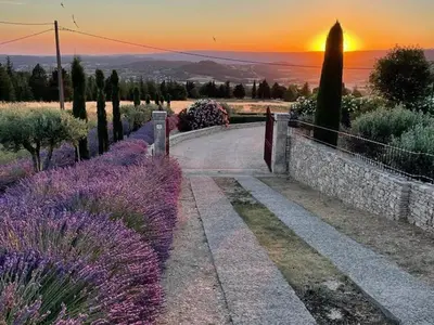 a pathway with purple flowers and a sunset in the background at Grands Abayers in Apt