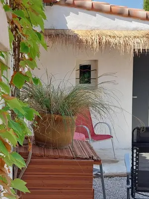 a bench with a potted plant and a chair at La Micocoule in La Barben