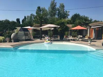 a swimming pool with a dog in a toy in the water at Mas de la Butte Blanche in Orgon