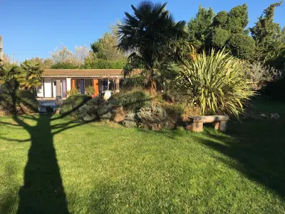 a shadow of a tree on a yard with a house at Mas de la Butte Blanche in Orgon
