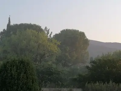 a group of trees with a mountain in the background at Maison au calme entre vignes et Luberon in La Motte-dʼAigues