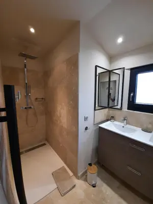 a bathroom with a shower and a sink and a mirror at Le Loft sur les quais in LʼIsle-sur-la-Sorgue