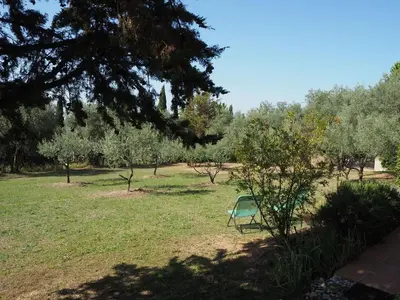 a green chair in a field with trees at Cottage in Luberon near Apt Market in Apt