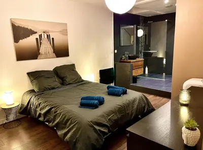 a bedroom with a bed with two blue pillows on it at *FONTAINE MOUSSUE*HYPER CENTRE*T2 STANDING* in Salon-de-Provence