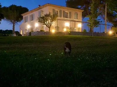 a dog sitting in the grass in front of a house at La Soleillade Aixoise in Aix-en-Provence