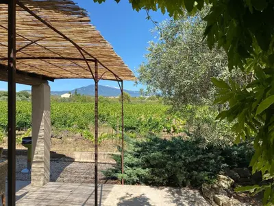 a pergola with a view of a vineyard at Villa Les Oliviers in Caromb