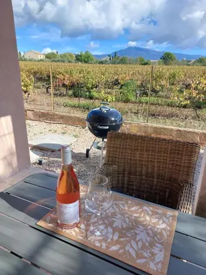 a bottle of sauce sitting on a table with a grill at Villa Les Oliviers in Caromb
