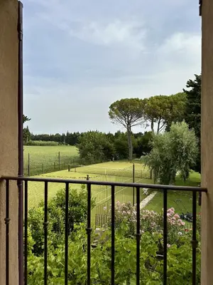 a view of a field from a window at Mas de la Sacristière in Jonquerettes