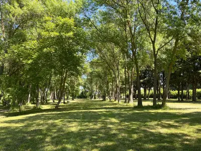 a park with a lot of trees and grass at Domaine des Eucalyptus in Mollégès