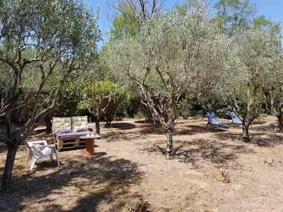 two chairs and a bench in a field with trees at Maisonnette dans le Luberon - Bois Romay in La Bastide-des-Jourdans