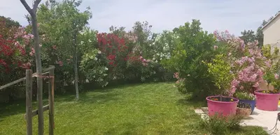 a garden with pink flowers and trees and grass at JULIANA in Eyragues