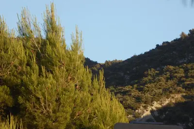 a view of a mountain with trees and bushes at CABANE perchée dans les arbres in Robion en Luberon
