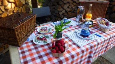 a picnic table with a red and white checkered table cloth at CABANE perchée dans les arbres in Robion en Luberon