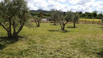 a group of trees in a field of grass at Villa à charleval en campagne avec piscine 14 couchages in Charleval