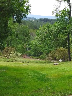 a white frisbee in a green field with trees at les Bartavelles in Roussillon