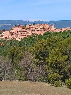 a town on top of a hill with trees at les Bartavelles in Roussillon