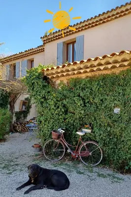 a black dog laying on the ground next to a bike at Bastide Cedrea in Peyrolles-en-Provence