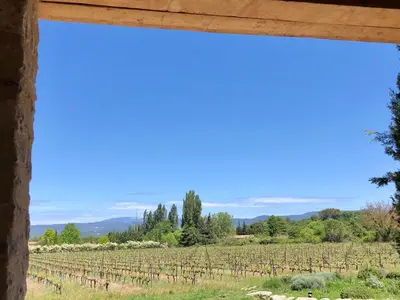 a view from a window of a vineyard at La Verrière à Bonnieux in Bonnieux