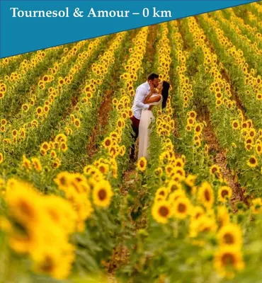 a couple kissing in a field of sunflowers at Les Bastidons de L'Isle - Le Saint-Julien - 3 étoiles in LʼIsle-sur-la-Sorgue