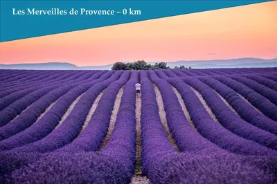 a person standing in a lavender field at Les Bastidons de l'Isle - Le Seguret - 3 étoiles in LʼIsle-sur-la-Sorgue