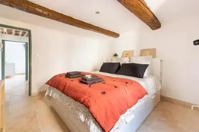 a bedroom with a large bed with an orange comforter at Le marronnier 3: Superbe appart au coeur de la petite venise in LʼIsle-sur-la-Sorgue