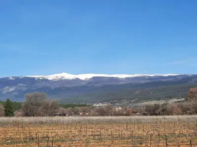 a field with snow covered mountains in the background at Gîte des Bartavelles in Saint-Didier