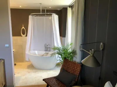 a bathroom with a tub with a plant in a window at La Bastide des Grands Chênes in Lambesc