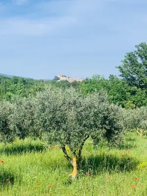 a castle on top of a hill with trees at Domaine La Ferme HI bride in Villelaure