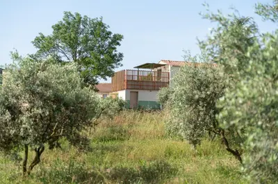 an aerial view of a vineyard and a house at Domaine La Ferme HI bride in Villelaure