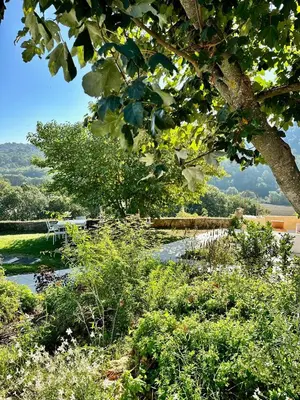 an aerial view of a farm with vines at Domaine La Ferme HI bride in Villelaure