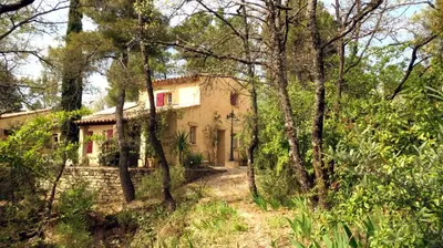 a house in the middle of a forest at Villa Chênaie in Bédoin