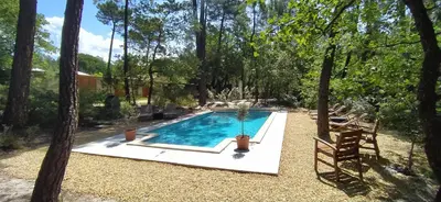 a swimming pool in the middle of a yard with a cactus at Villa Chênaie in Bédoin