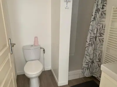 a bathroom with a toilet and a shower at Beau T2 clim terrasse idéalement situé in Aix-en-Provence