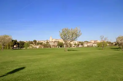 a large field of green grass with a tree in it at Apartement Beata in Provence, Golf Pont Royal in Mallemort