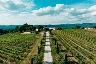 a path through a vineyard in a field at Domaine Perréal Chambres d'hôtes in Gargas