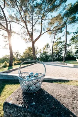 a basket of fruit sitting on top of a table at Domaine Perréal Chambres d'hôtes in Gargas