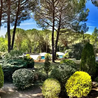 Provence mon amour
