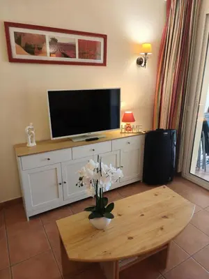 a living room with a tv and a table with flowers at Village Pont Royal en Provence - maeva Home - Appartement 2 pièces 4 personnes - Prestige MAE-2180 in Mallemort